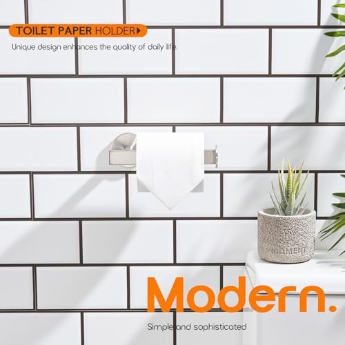 Stainless Steel Toilet Paper Holder Wall Mounted AN2001BR