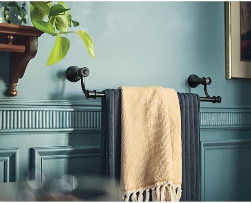 Bathrooms Get Quipped Quipped with Moeen towel bar